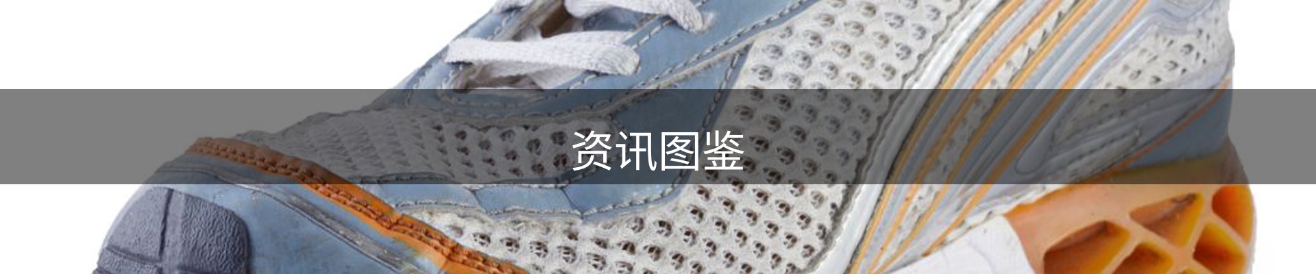 资讯图鉴